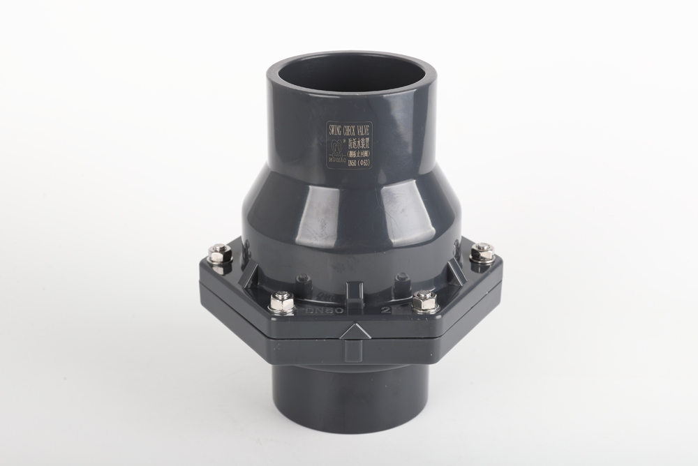 彭市镇翻板式止回阀