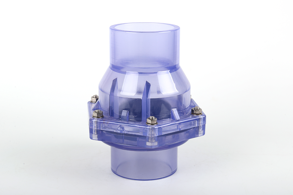 彭市镇透明翻板式止回阀